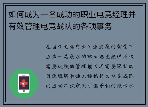 如何成为一名成功的职业电竞经理并有效管理电竞战队的各项事务